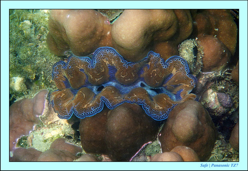 2012 - 03 - Koh Kradan 18